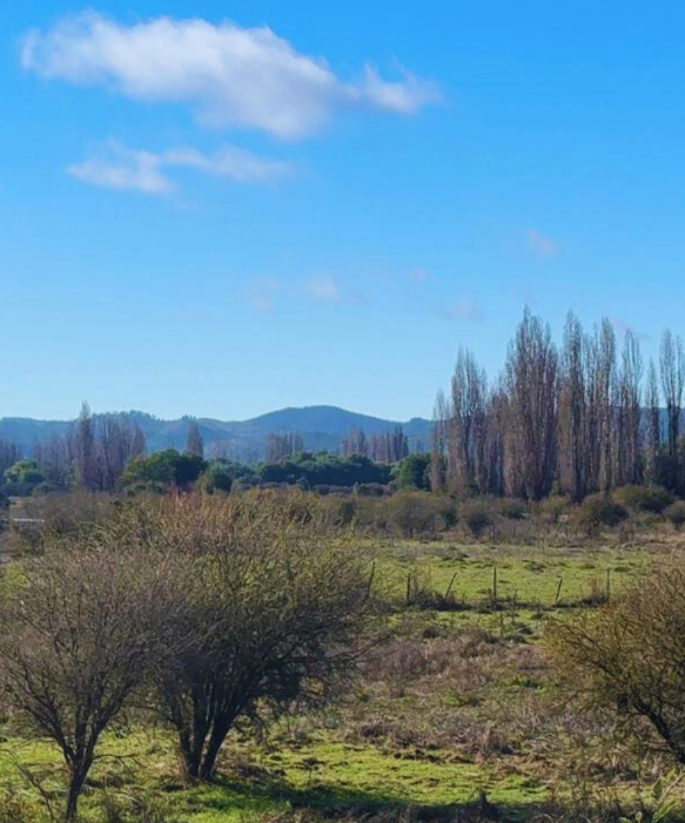 Untitled design (14)